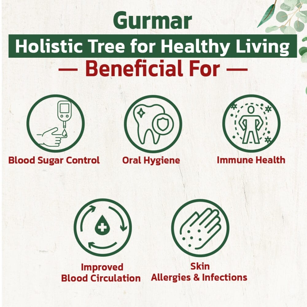 benefits of gurmar powder